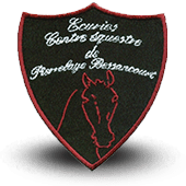 Manufacture embroidery patche embroidery équitation