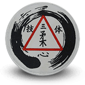 embroidery patche club de karaté