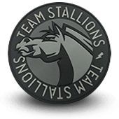 PATCHE PVC 3D airsoft stallions