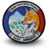 City, municipal police embroidery patche ASVP ANNEMASSE