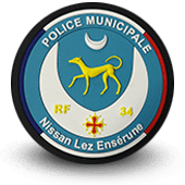 PVC city police patche nissan