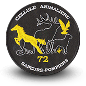 Embroidery patche cellule animalière firefighters