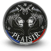 Patche firefighters-patche- fire Plaisir