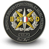 PVC Patche SDLP POLICE BSOSD