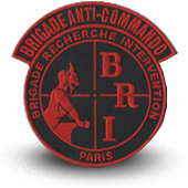 Embroidery patche BRI PARIS - BRIGADE ANTI-GANG  Police 