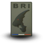 PVC Patche BRI POLICE BRIGADE RECHERCHE INTERVENTION