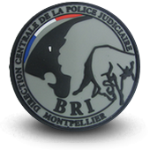 PVC patche BRI POLICE BRIGADE RECHERCHE INTERVENTION MONTPELLIER