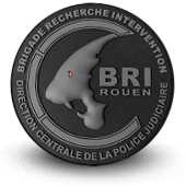 PVC patche BRI POLICE BRIGADE RECHERCHE INTERVENTION ROUEN