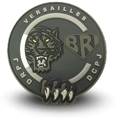 PVC patche BRI POLICE BRIGADE RECHERCHE INTERVENTION VERSAILLES