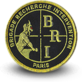 Embroidery patche BRI PARIS - BRIGADE ANTI-GANG Police 