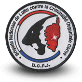 Embroidery patche Police DCPJ BNLCOC