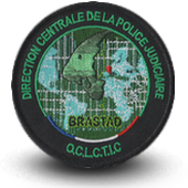 Embroidery patche Police DCPJ OCLCTIC